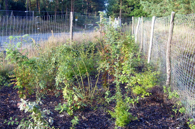 Forstliche Dienstleistungen