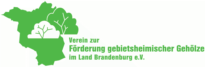 Logo Verein zur Förderung gebietsheimischer Gehölze in Brandenburg Logo Verein zur Förderung gebietsheimischer Gehölze in Brandenburg